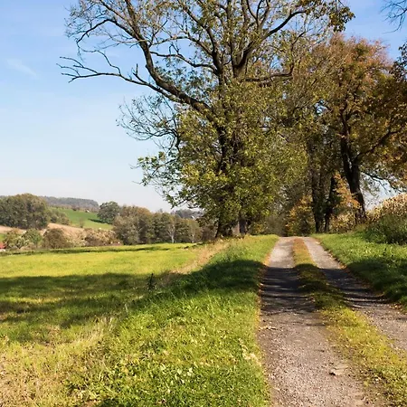 Bawaria * Cieszyn (Silesia)